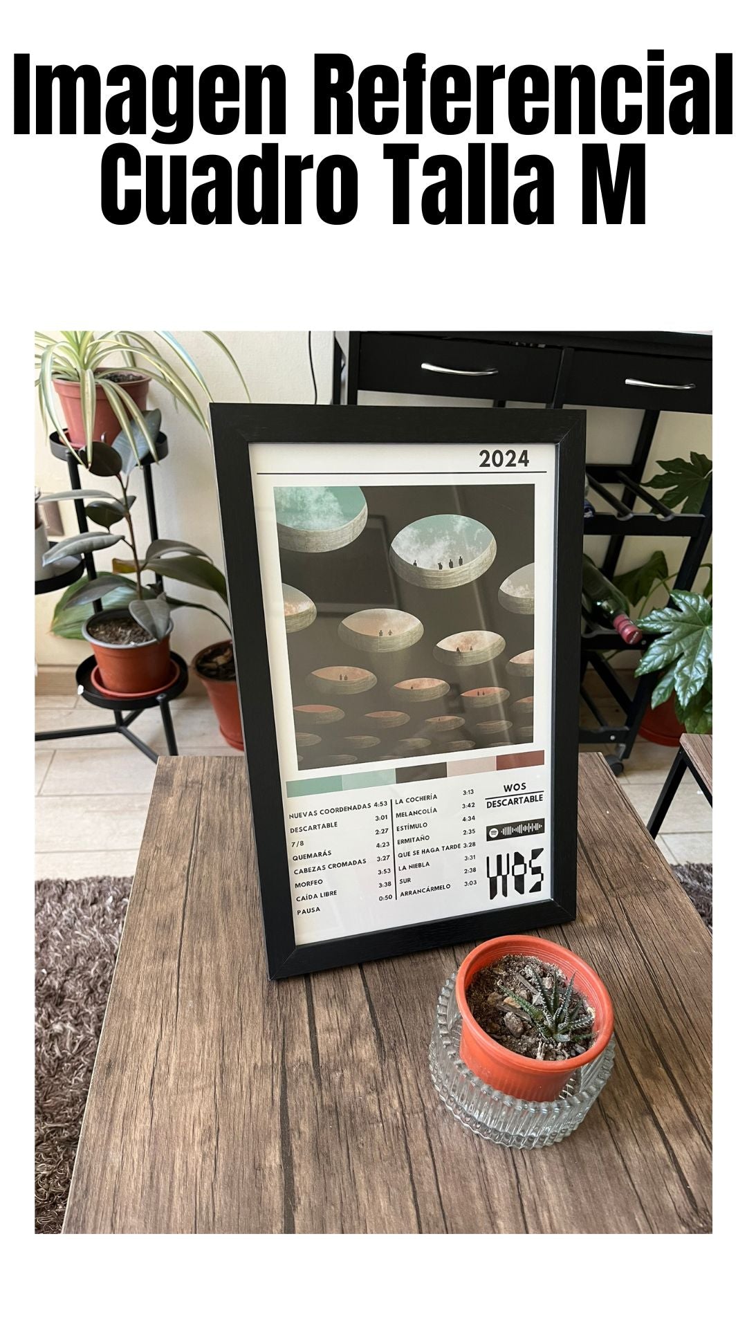 Cuadro WOS - DESCARTABLE