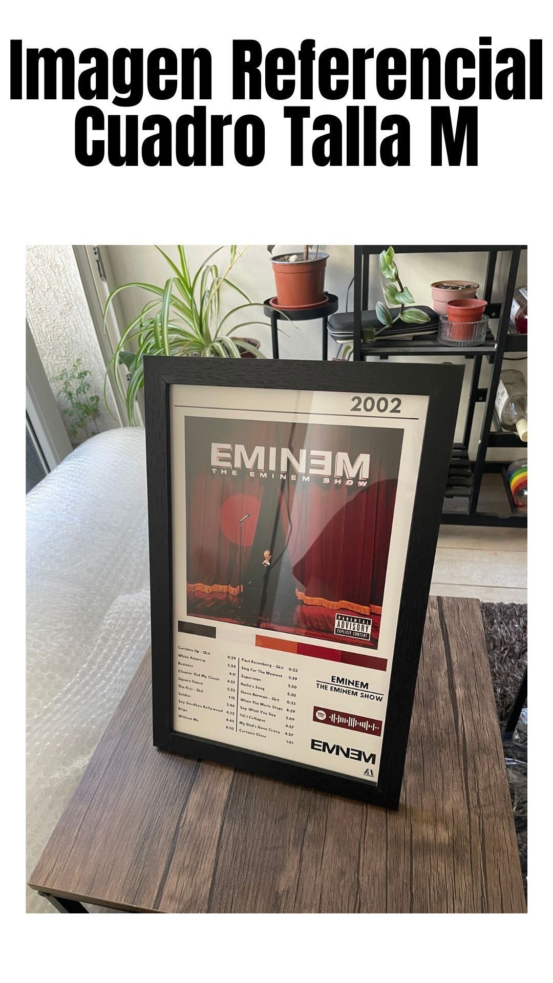 Cuadro Eminem - The Eminem Show