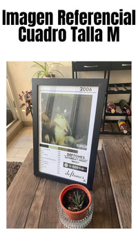 Cuadro Deftones - Saturday Night Wrist