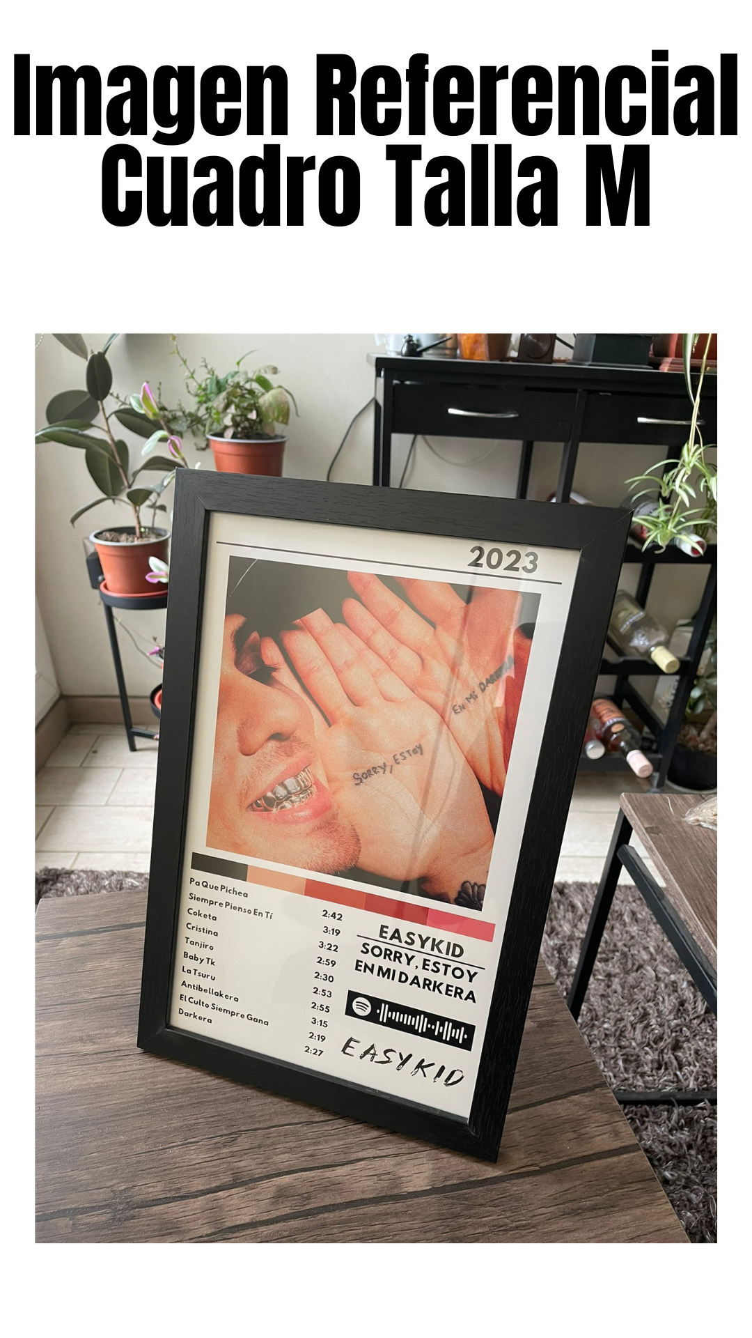 Cuadro Easykid  - Sorry, estoy en mi Darkera