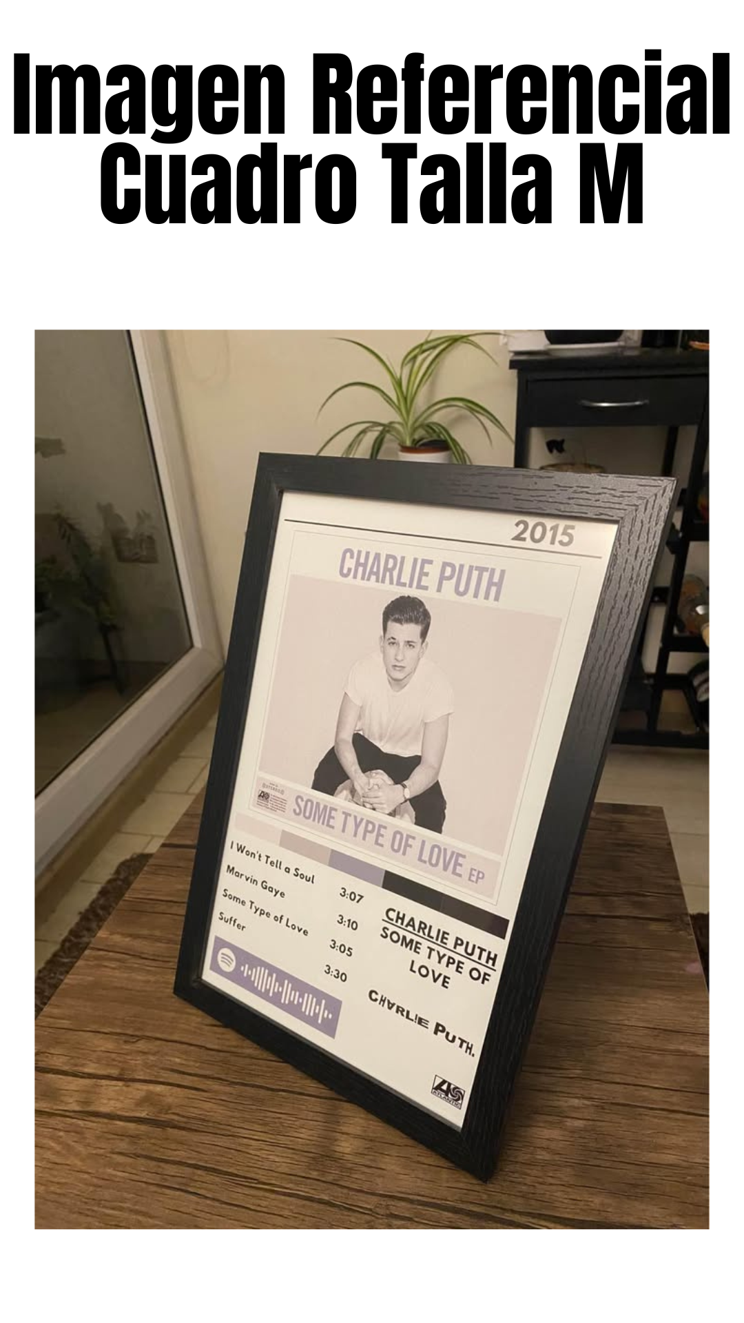 Cuadro Charlie Puth - Some Type of Love