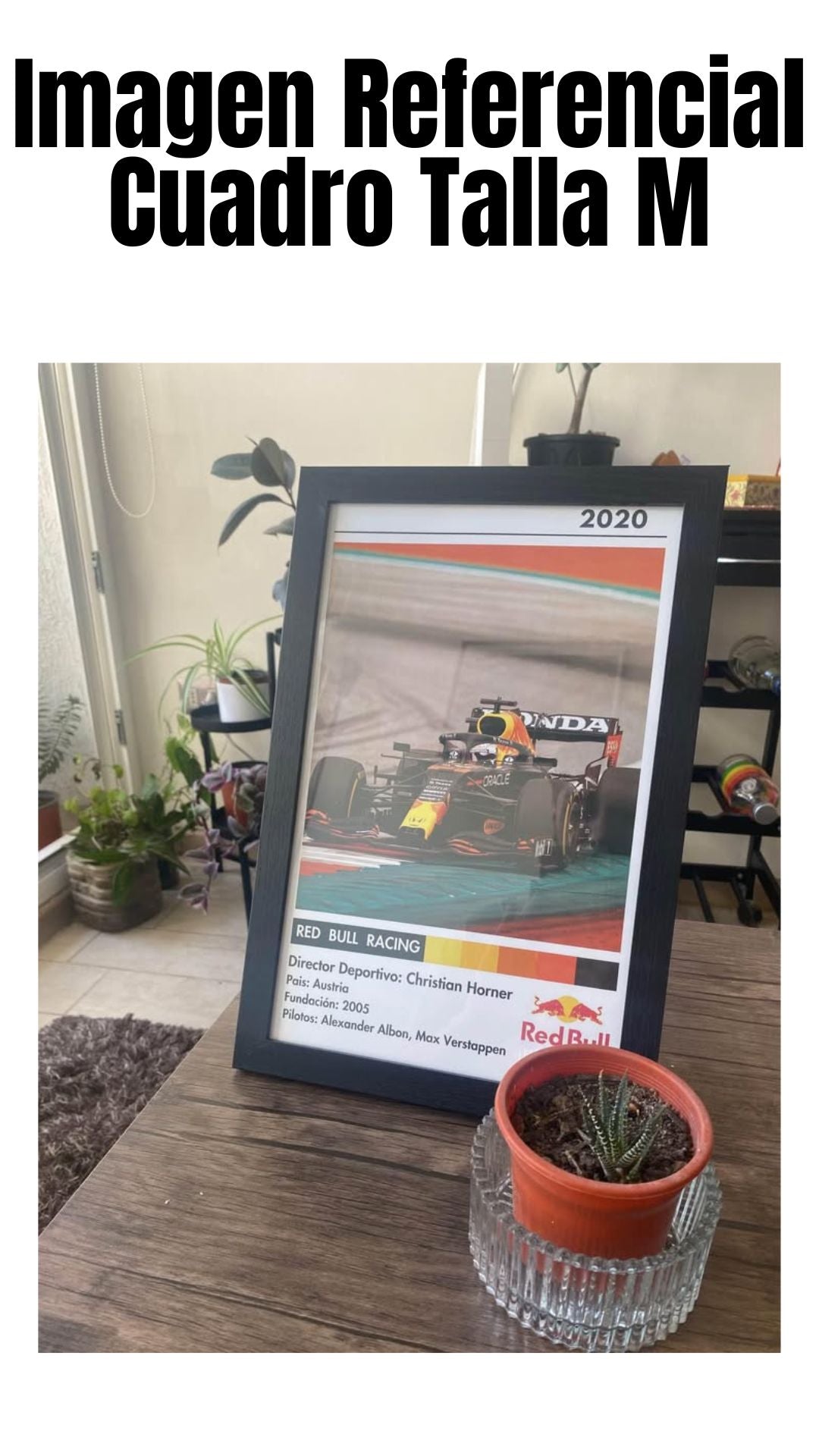 Cuadro Red Bull Racing 2020 - Diseño 2