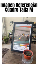 Cuadro Red Bull Racing 2020 - Diseño 2