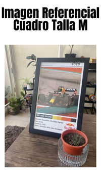 Cuadro Red Bull Racing 2020 - Diseño 2