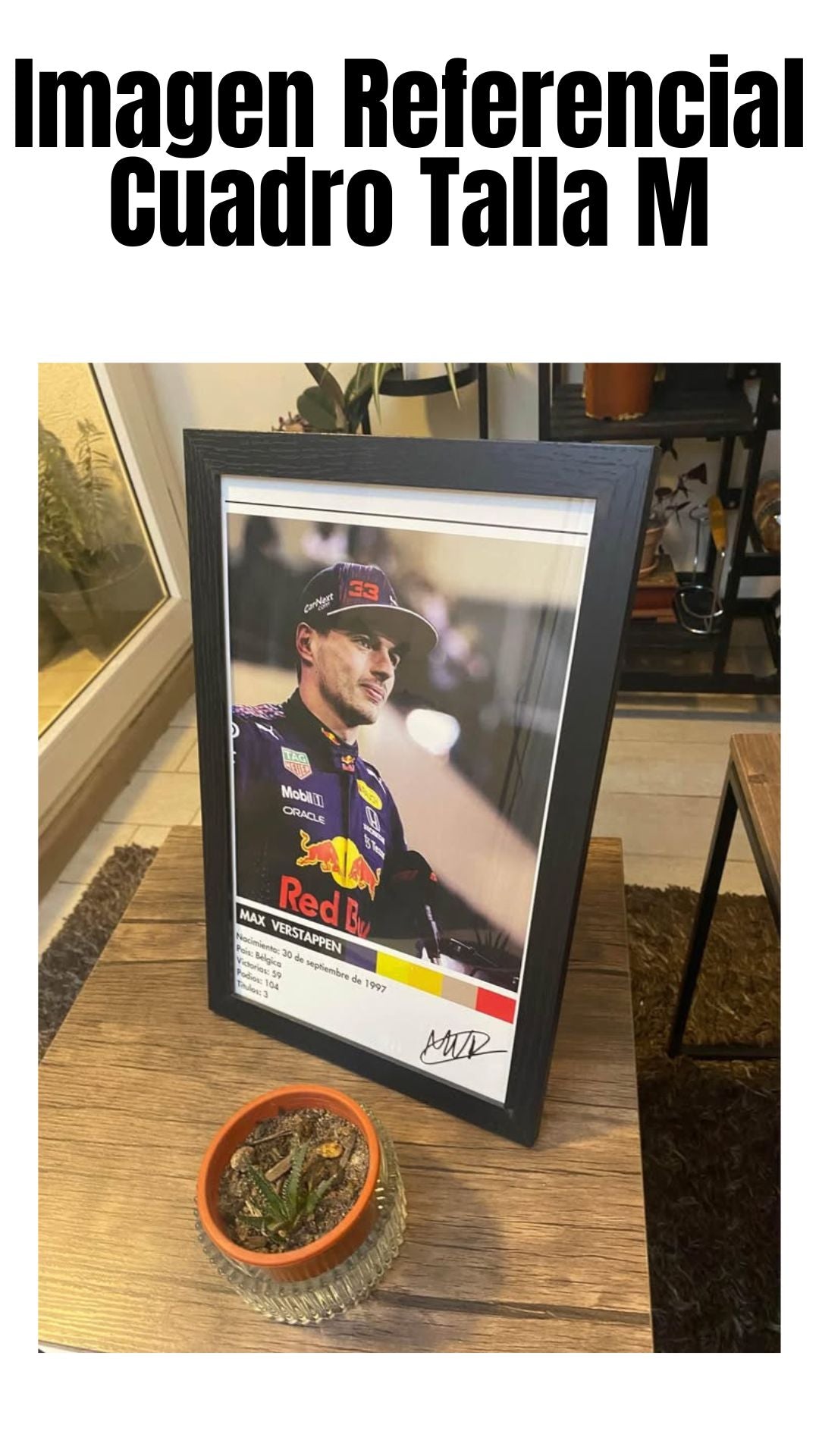 Cuadro Max Verstappen