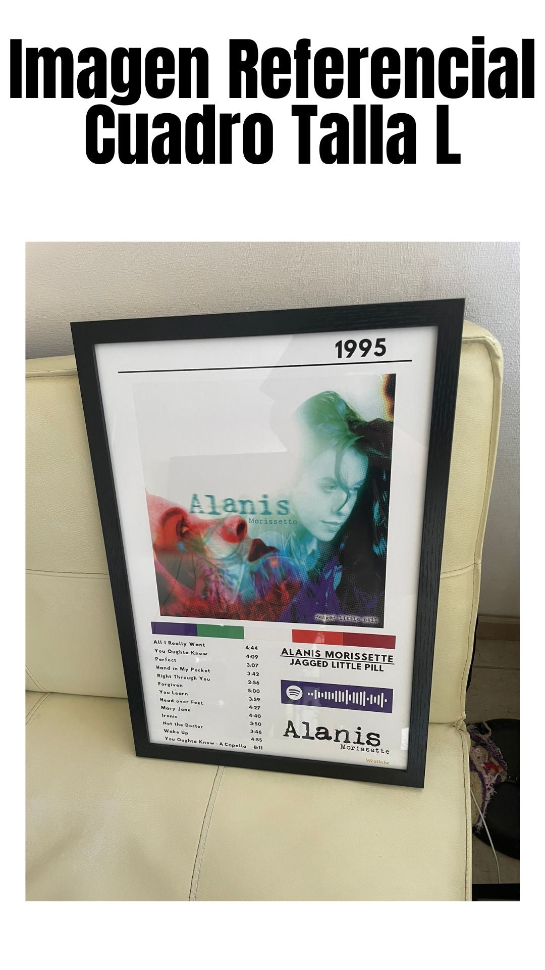 Cuadro Alanis Morissette - Jagged Little Pill