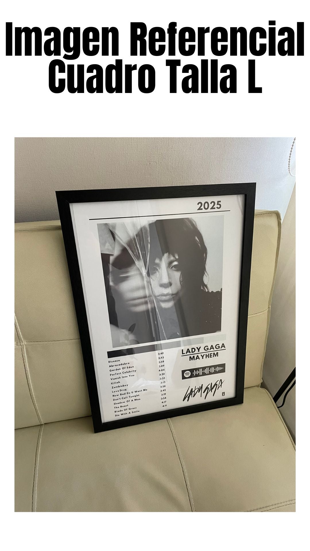 Cuadro Lady Gaga - Mayhem