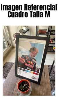 Cuadro Sebastian Vettel