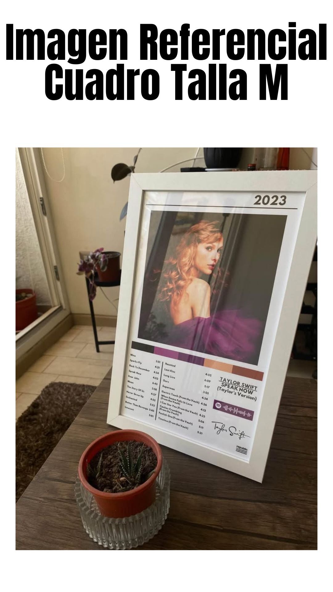 Cuadro Taylor Swift - Speak Now (TV)