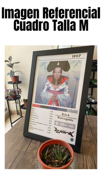 Cuadro Björk - Homogenic