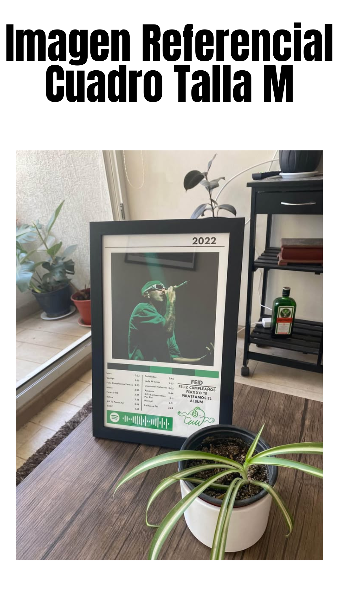 Cuadro Feid - FELIZ CUMPLEAÑOS FERXXO TE PIRATEAMOS EL ÁLBUM (Versión 3)