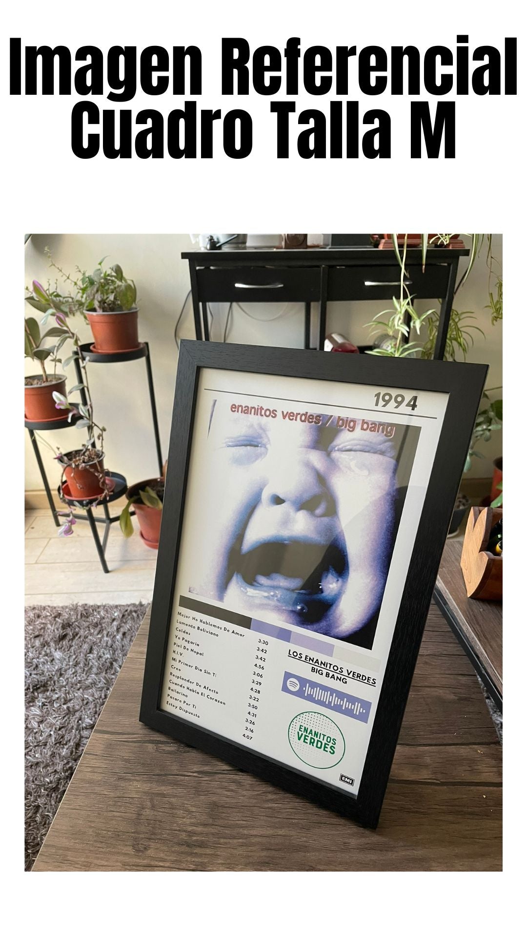 Cuadro Los Enanitos Verdes - Big Bang