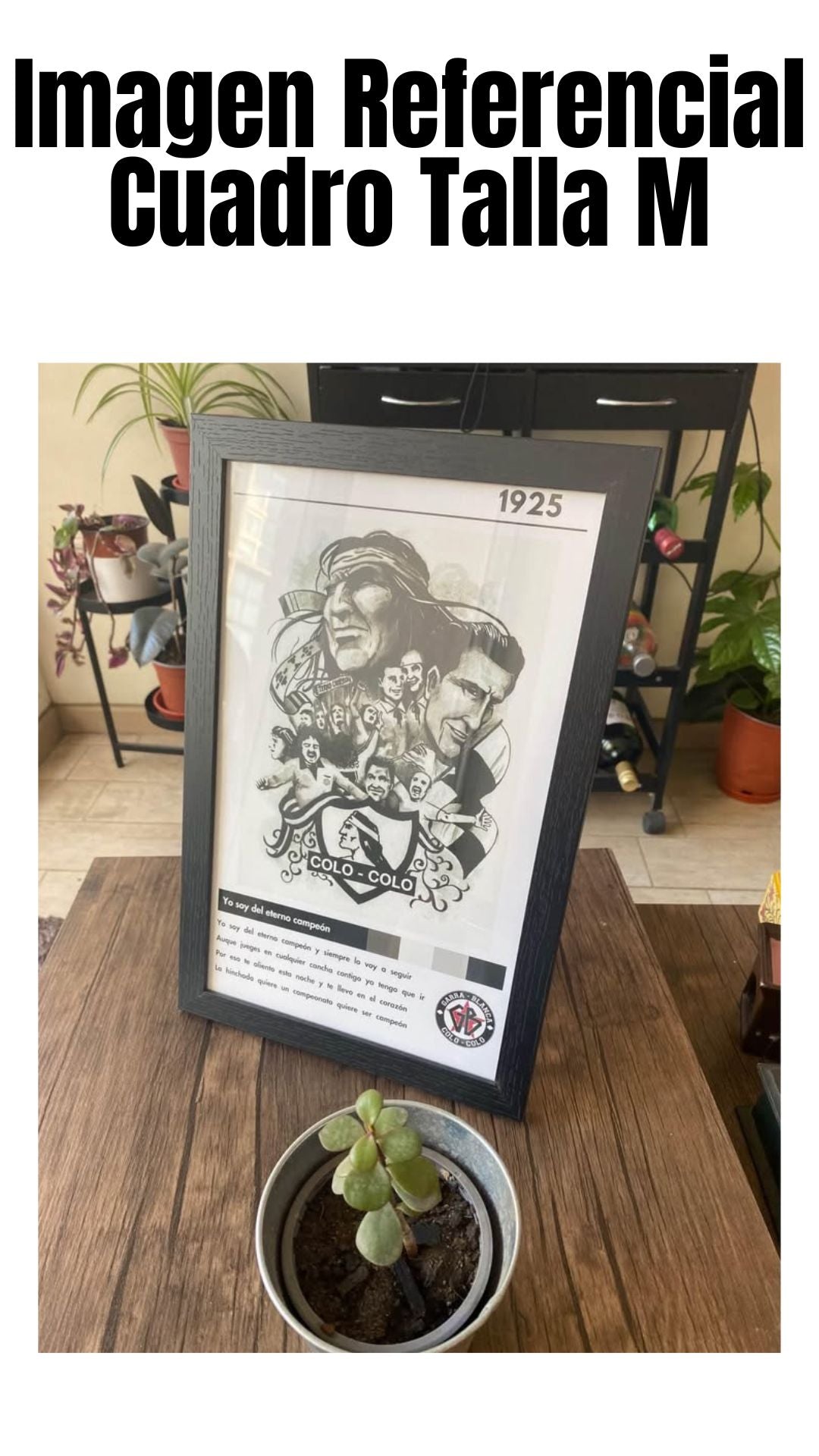 Cuadro Colo Colo - Diseño 1