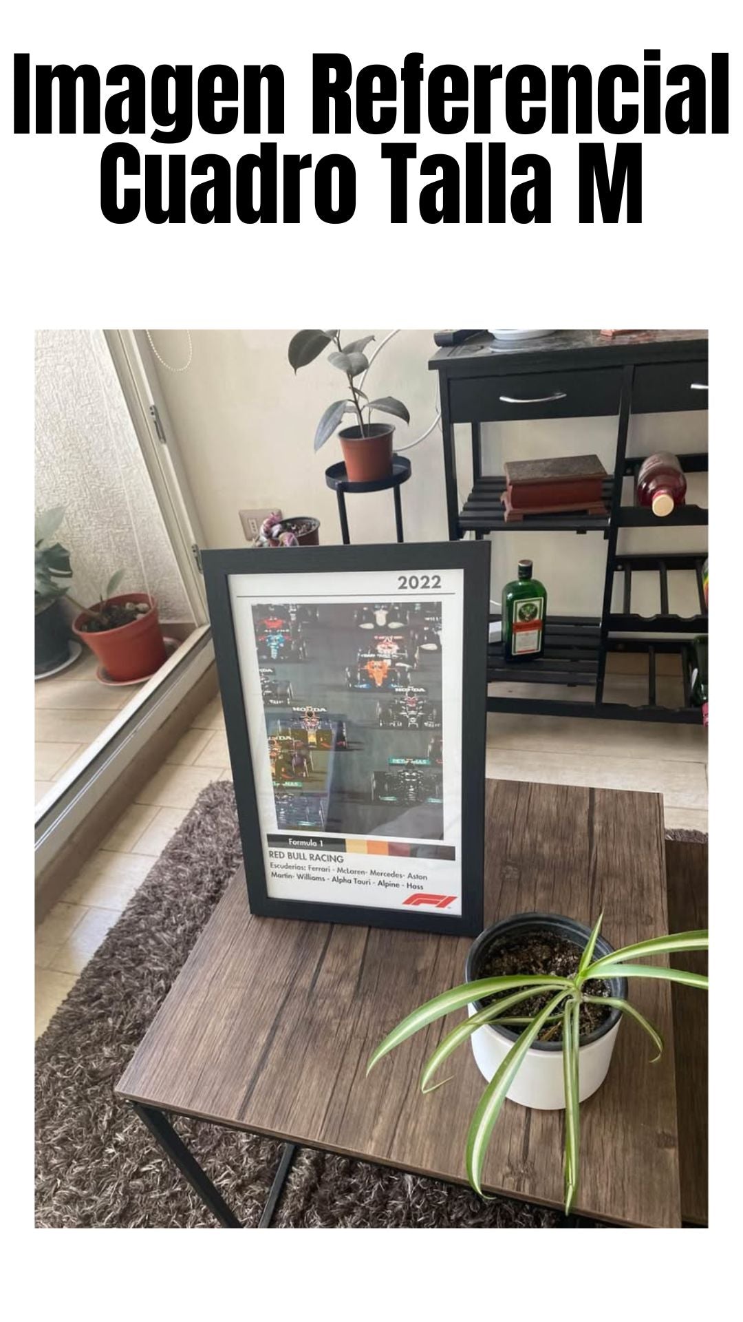 Cuadro Formula 1 - 2022