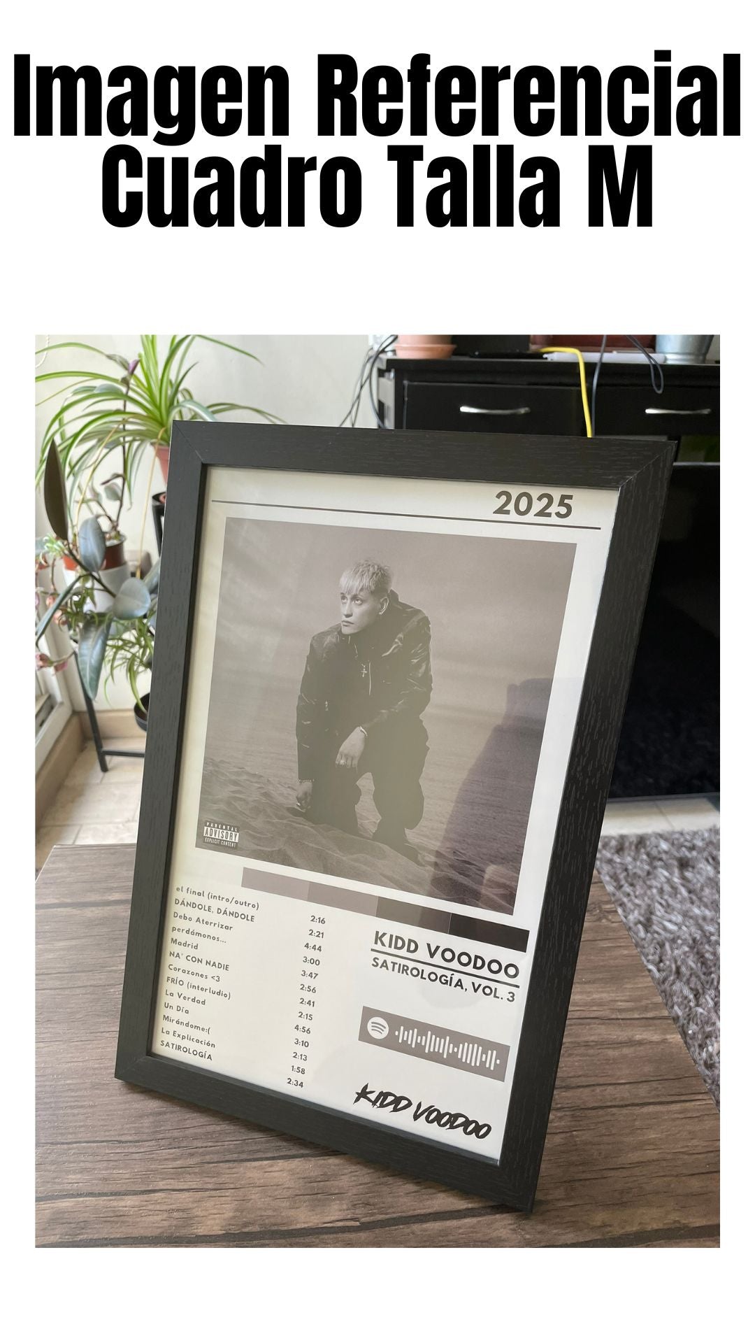 Cuadro Kidd Voodoo  - Satirología, Vol 3