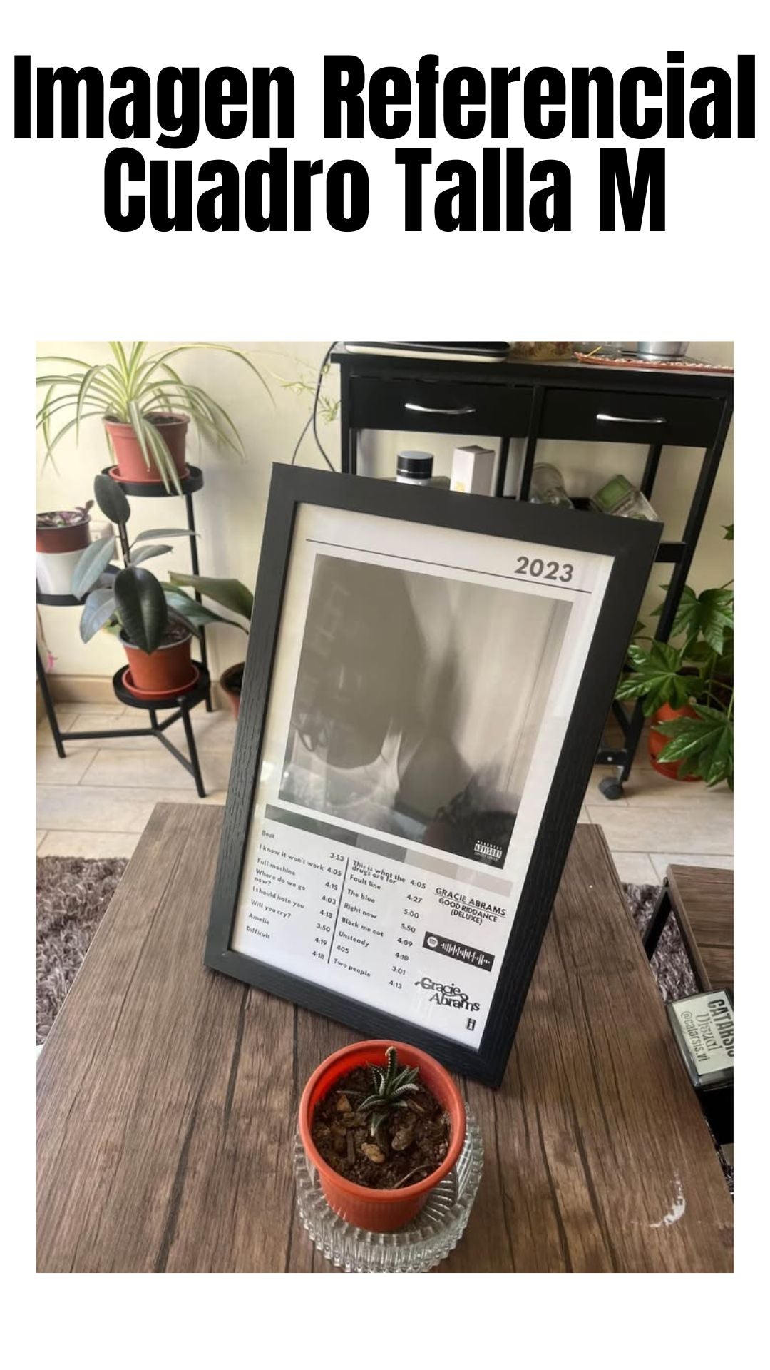 Cuadro Gracie Abrams - Good Riddance