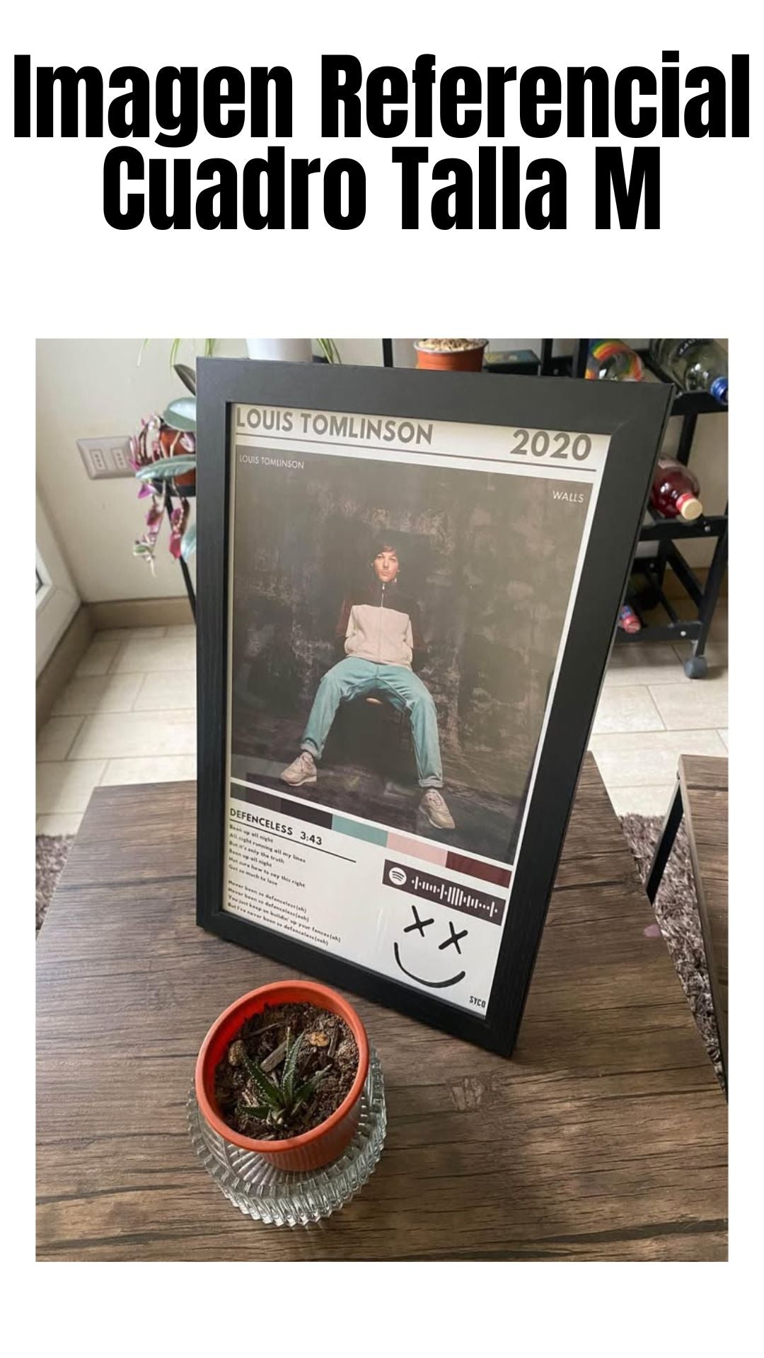 Cuadro Louis Tomlinson - Defenceless