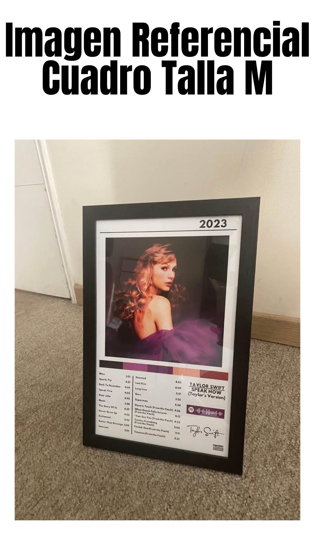 Cuadro Taylor Swift - Speak Now (TV)