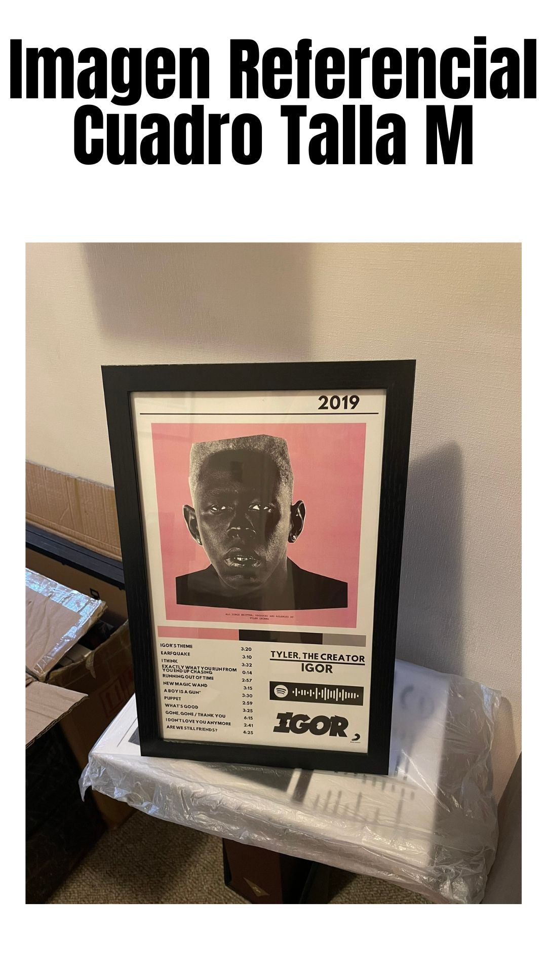 Cuadro Tyler, the Creator - IGOR