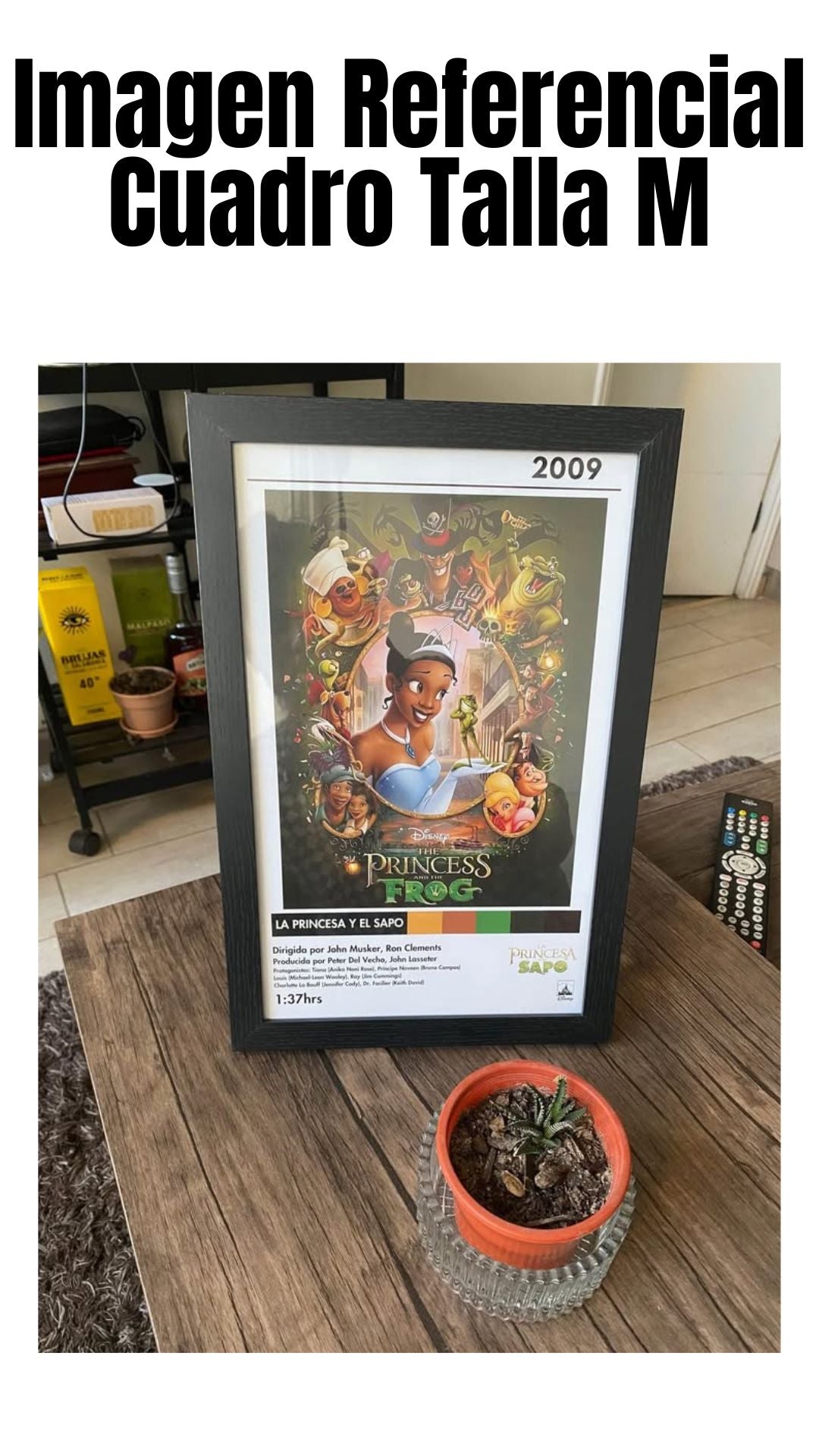 Cuadro La Princesa Y El Sapo