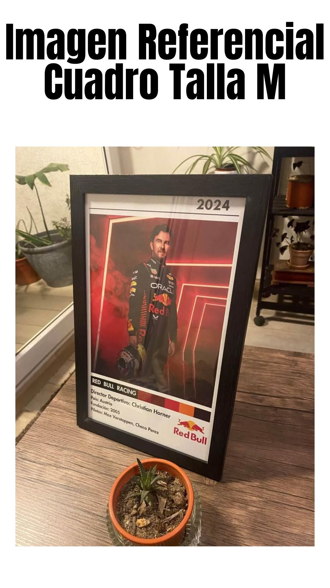 Cuadro Red Bull Racing 2024