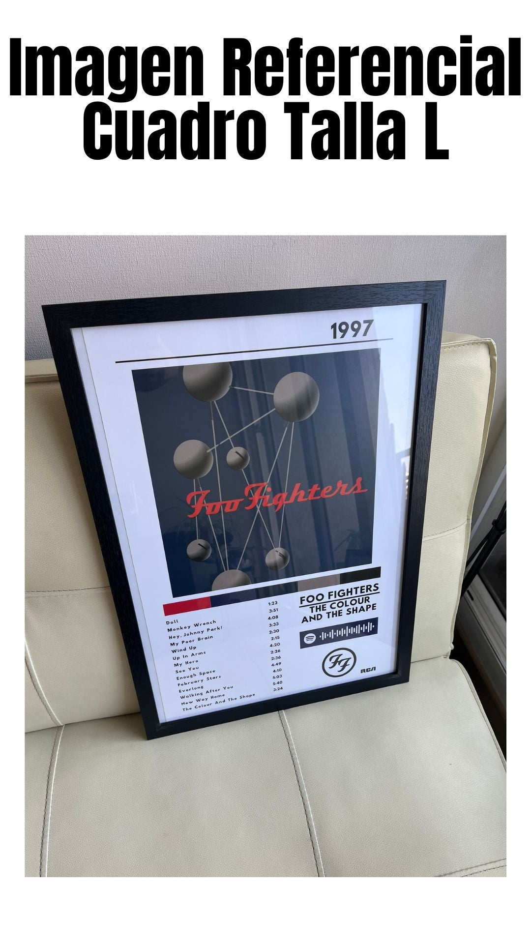 Cuadro Foo Fighters - The Colour and the Shape