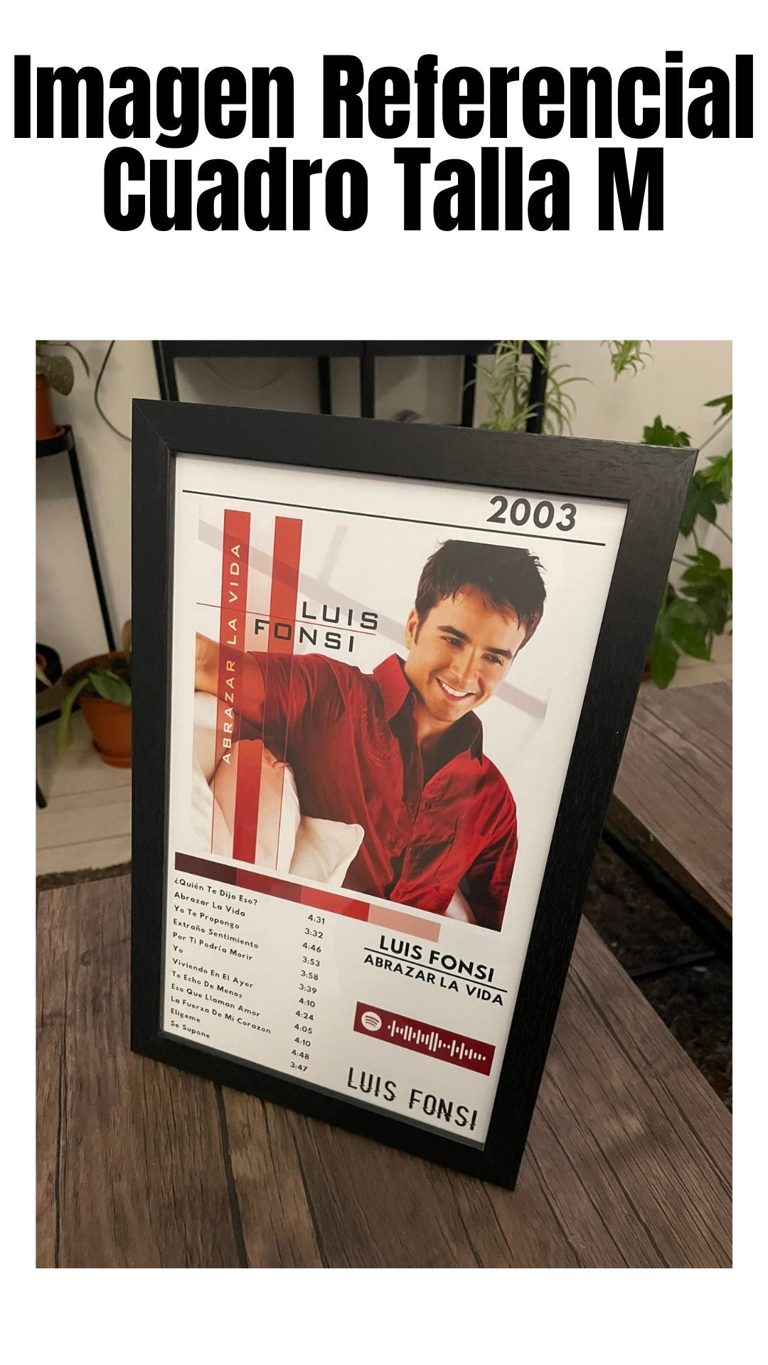 Cuadro Luis Fonsi - Abrazar La Vida